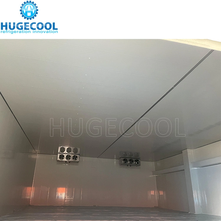Cold Storage Room for Frozen Fish and Seafood
