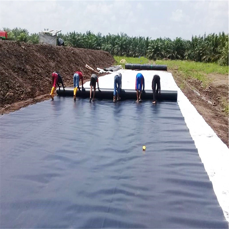 Impermeable Smooth HDPE Geomembrane for Fish/Shrimp Farming Pond Liner