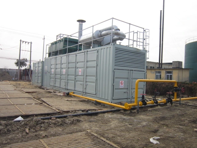 625kVA Oil Gas Generator Set with Container High Efficiency