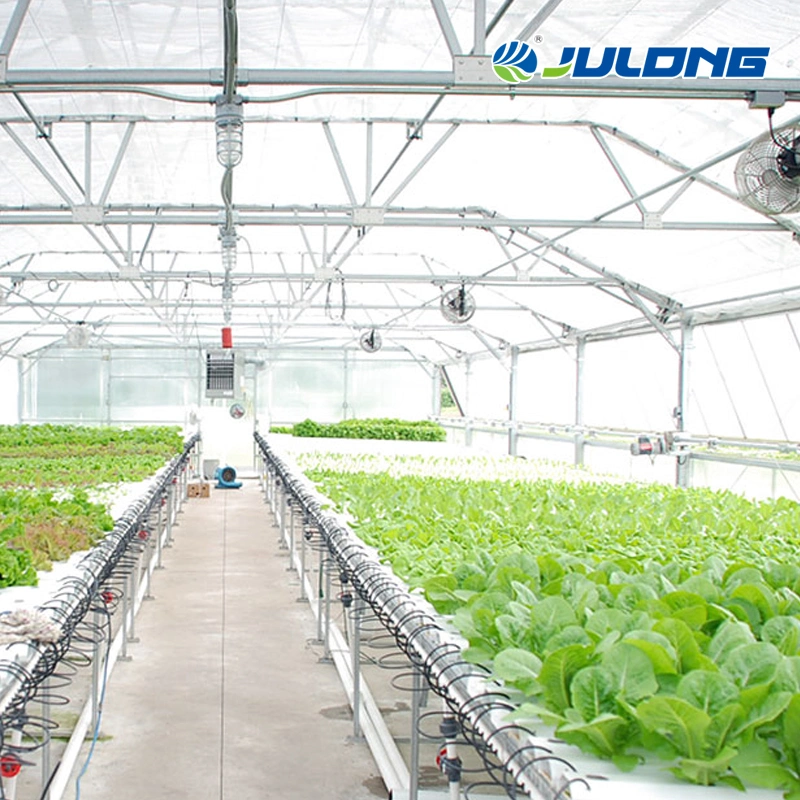 Agricultural Equipment Climate Control Single-Span Greenhouse