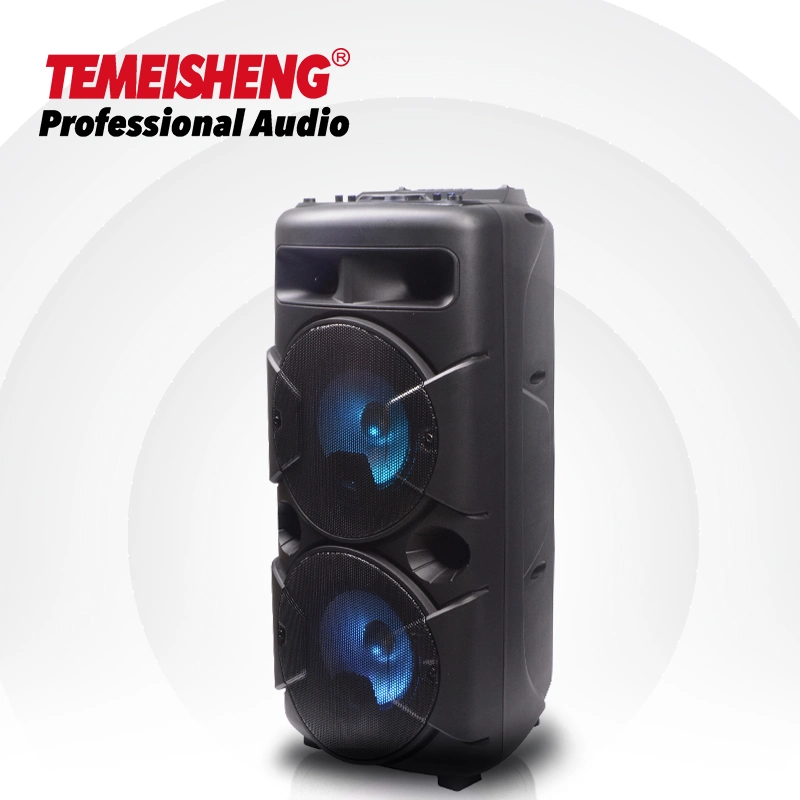 Temeisheng Tms-609 Double 6,5 Zoll Professional Party Box Sound System Lautsprecher Box DJ Verstärker Tragbarer Bluetooth-Lautsprecher