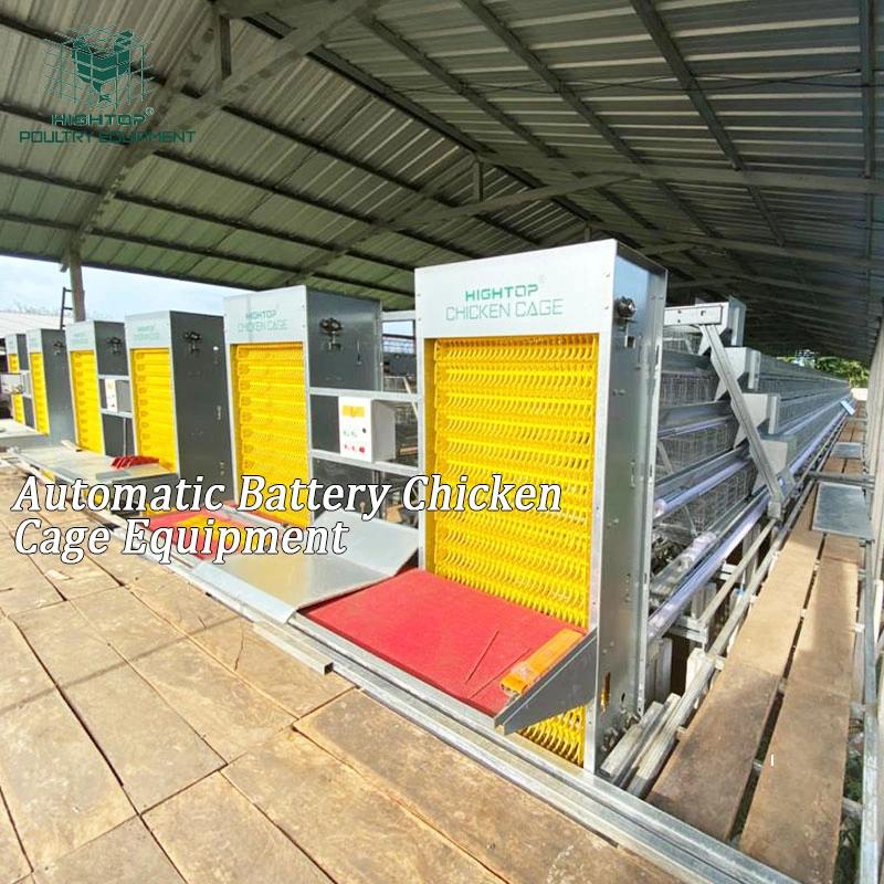 Zambia Full Automatic A Type Chicken House Layer Battery Layer Cage with Poultry Feeding Equipment