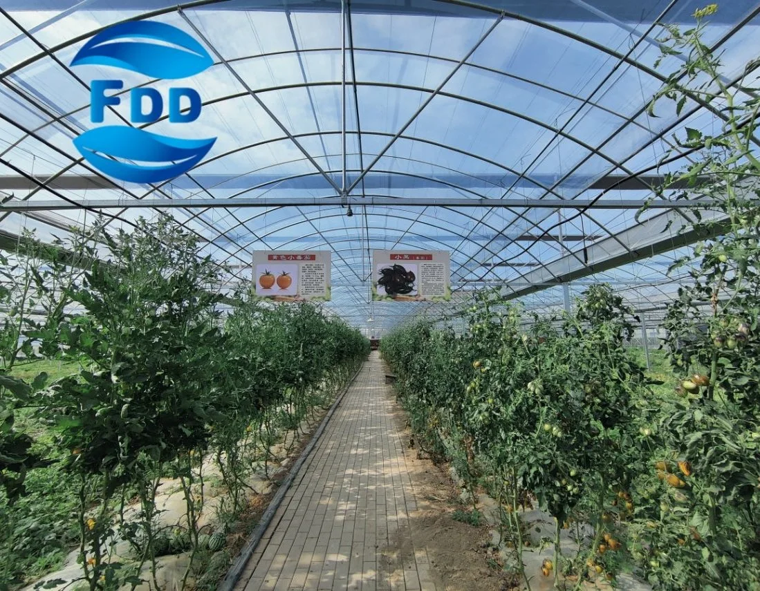 FDD Good Teermal Insulation Good Optical Properties UV Protection Po Greenhouse Plastic Film