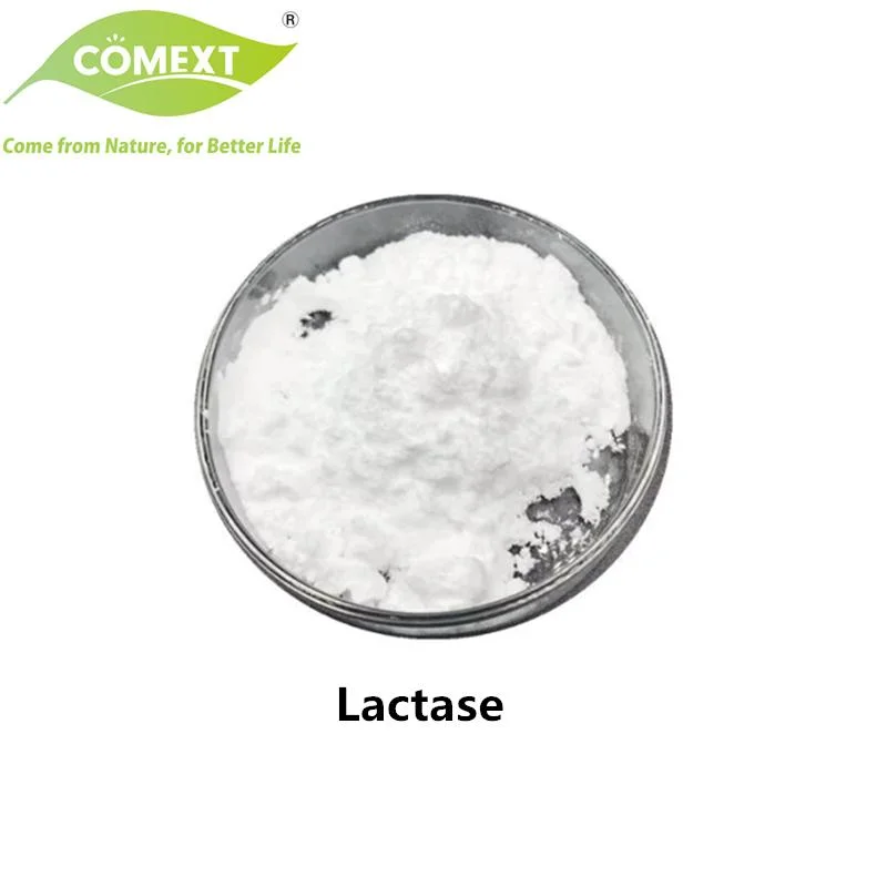 Comext Bulk Supply Lactase 10000gdu Enzyme Lactase Powder with Free Sample