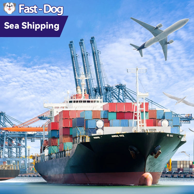 Cheap Sea Freight Forwarder From China to USA UK Europe Canada Australia Express Shipping Logistics