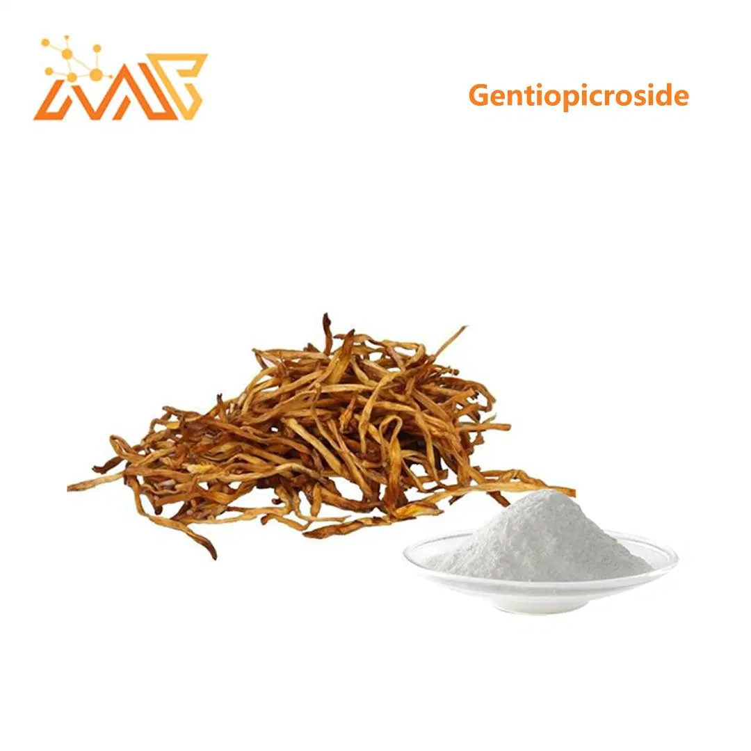 Gentian Root Extract 1kg/Packs Gentiopicroside Powder CAS 20831-76-9