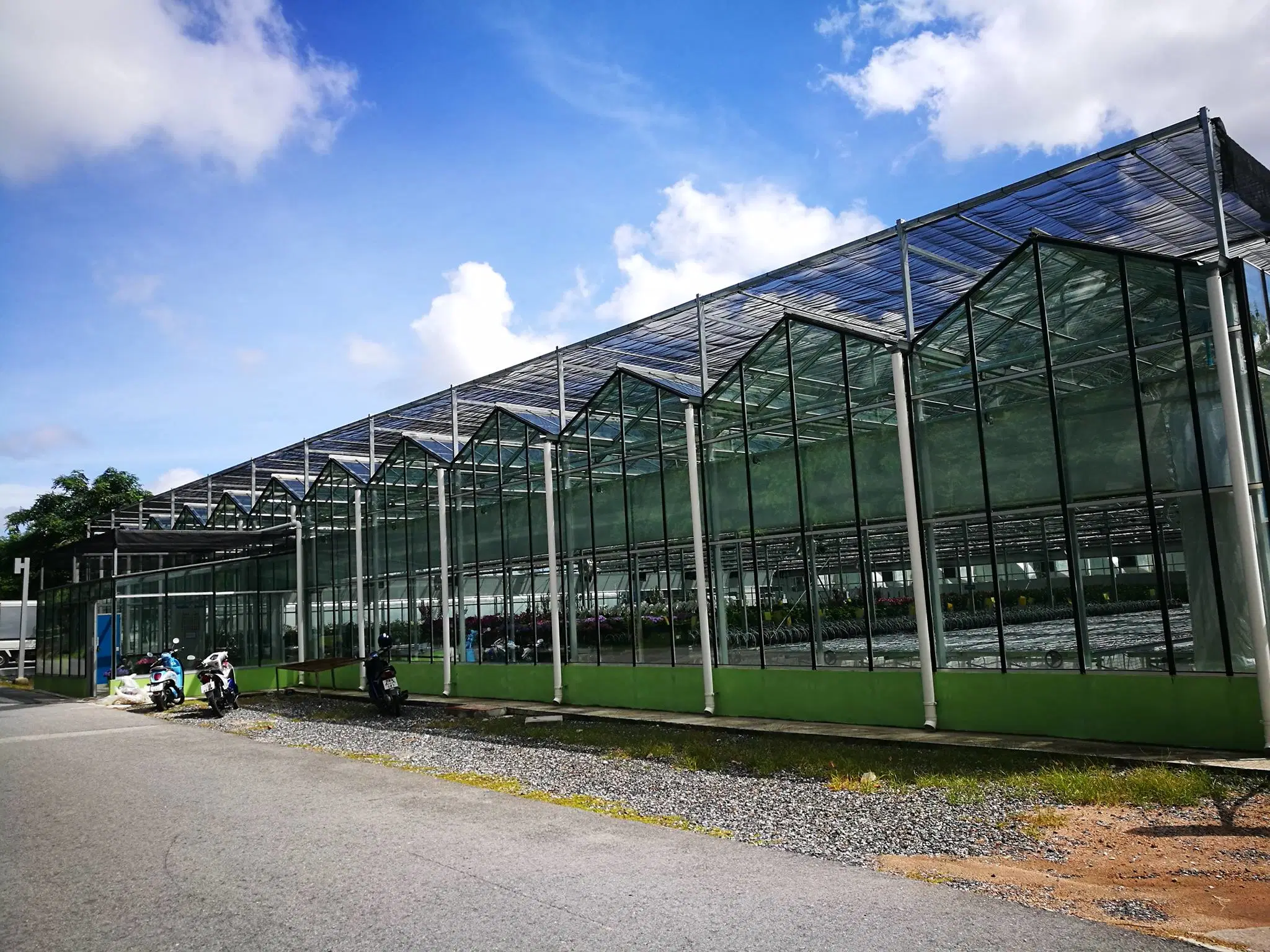 Modern Agriculture Multi-Span Customized Glass Greenhouse with Hydroponics System Cooling System for Vegetables Fruits Flowers Pepper Fruits