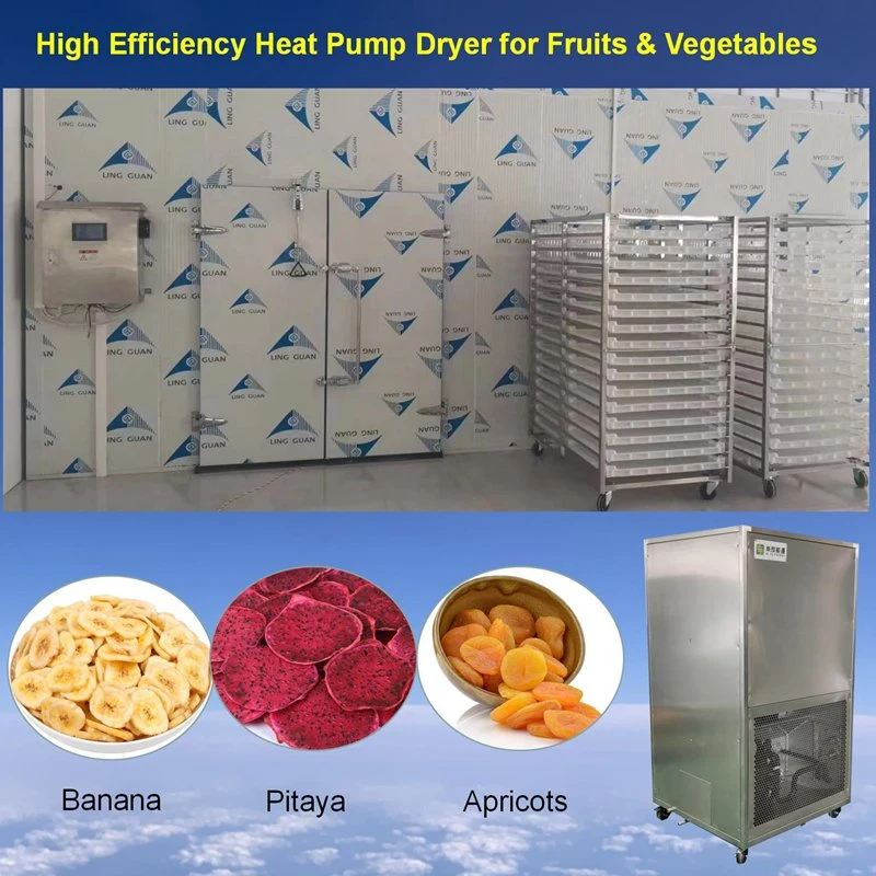 Heat Pump Dryer for Dehydrated Citrus Fruits, Orange, Lime