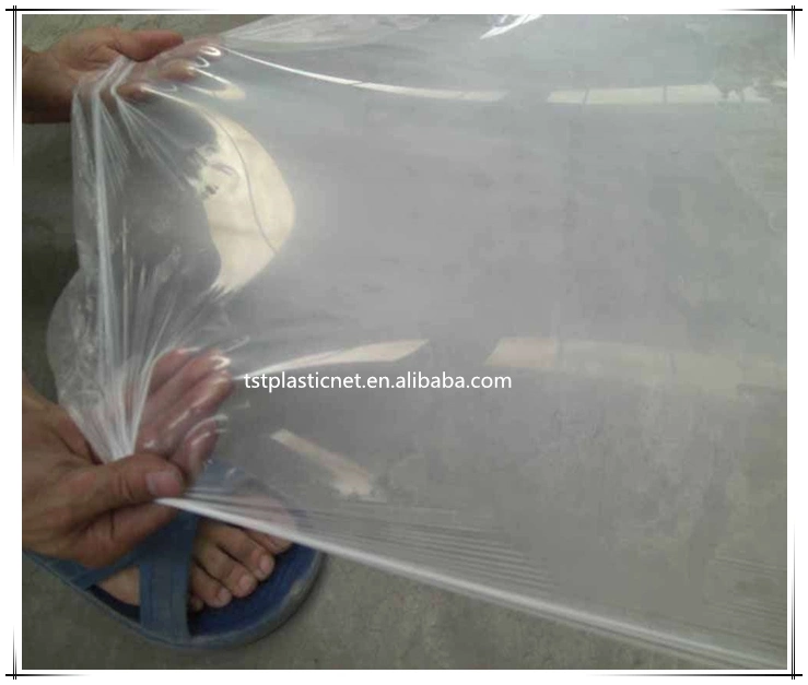 Poly Plastic Panda Film for Reflective Black and White Plastic Sheeting for Hydroponic / Horticultural Growing Film