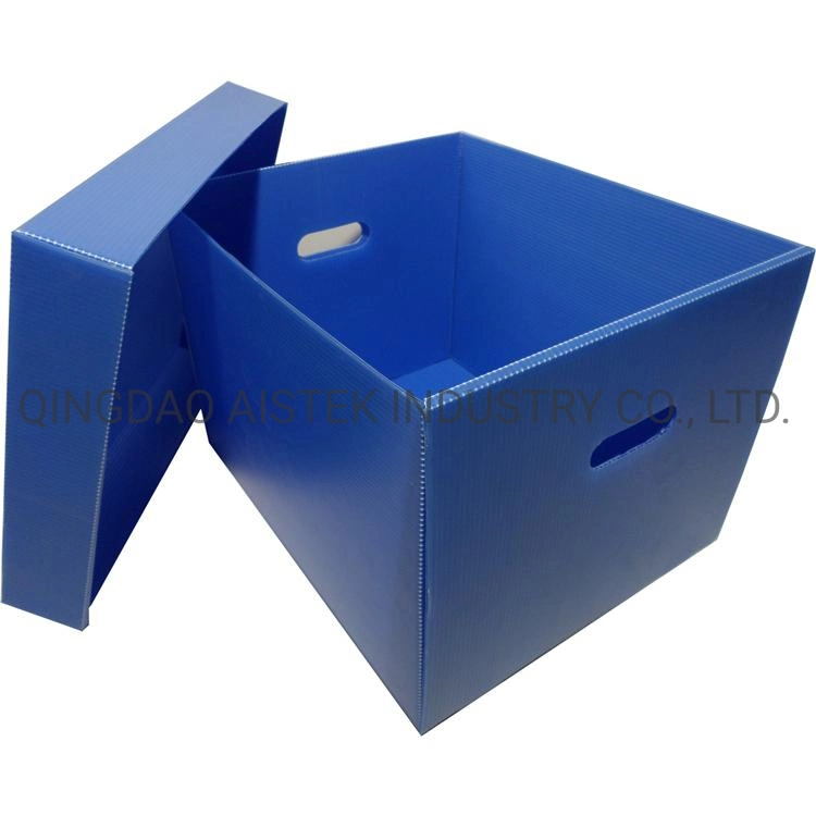 4X8 Corrugated Polypropylene Sheet for Protection Packing