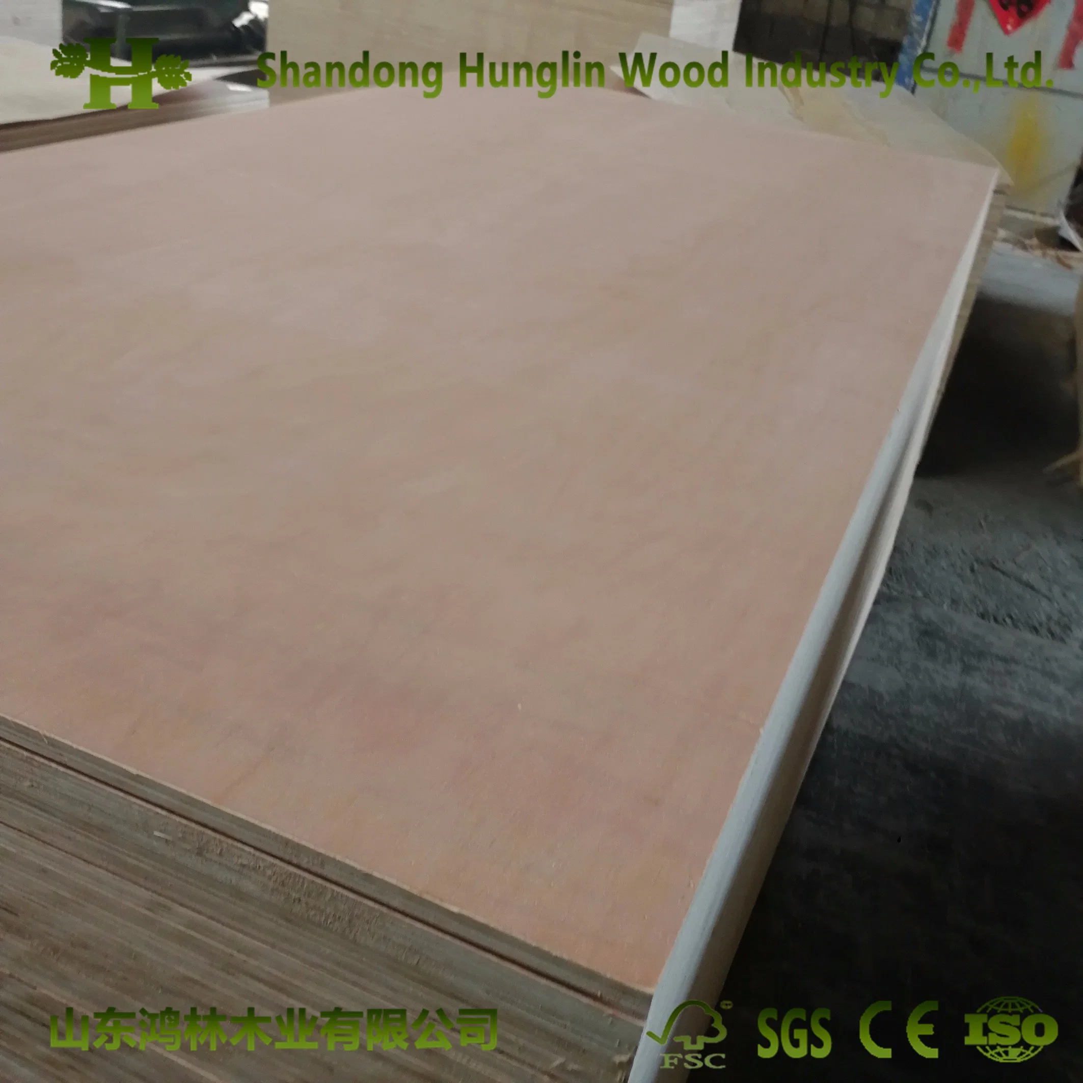 1220x2800mm Shandong bajo precio para el palet de madera contrachapada de grado de embalaje