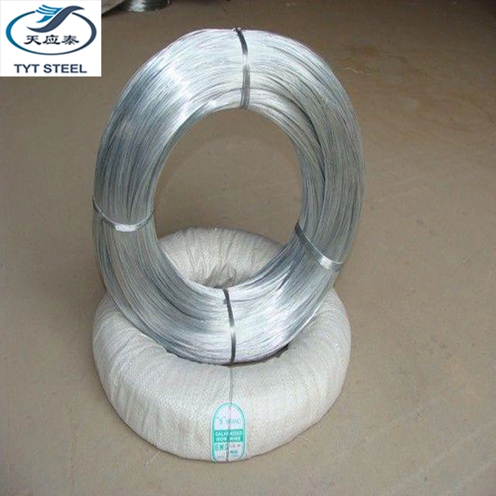 Factory Directly Supply Electrical Galvanized Steel Wire