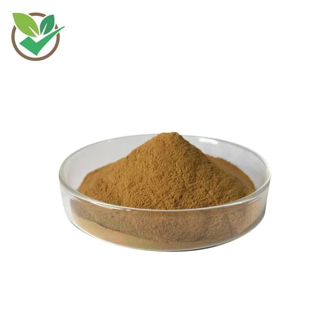 Supply Dried Lavender Flower Extract Lavender Powder Lavender Flower Extract