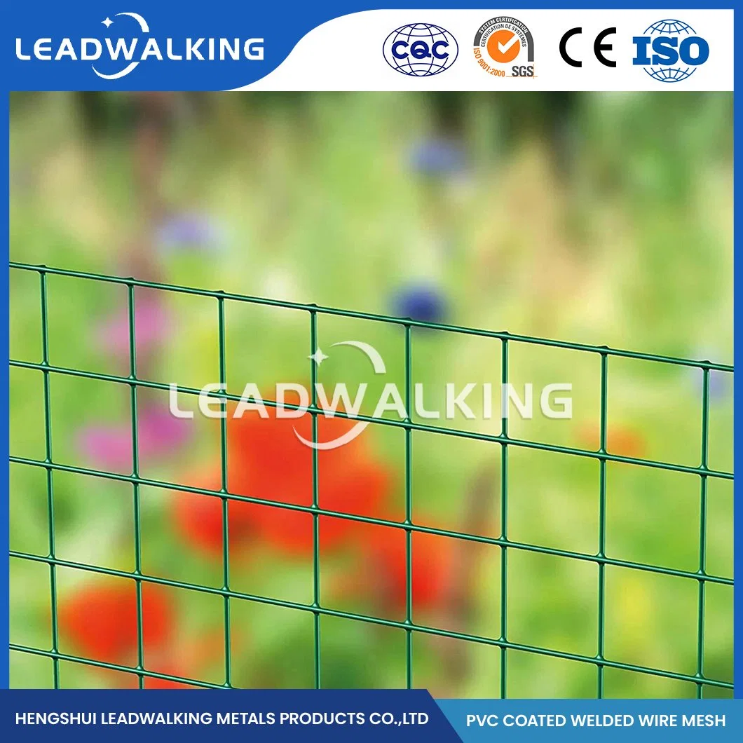 Leadwalking soldados galvanizados de malha de fábrica do painel Ss aço revestido de plástico malha soldada China redes soldadas com revestimento de PVC para Suporte de Fábrica