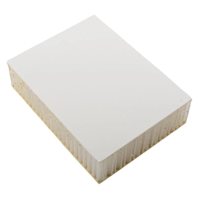 Composite Fiber Reinforced Plastic Sandwich PP FRP Fiberglass Honeycomb Core Material