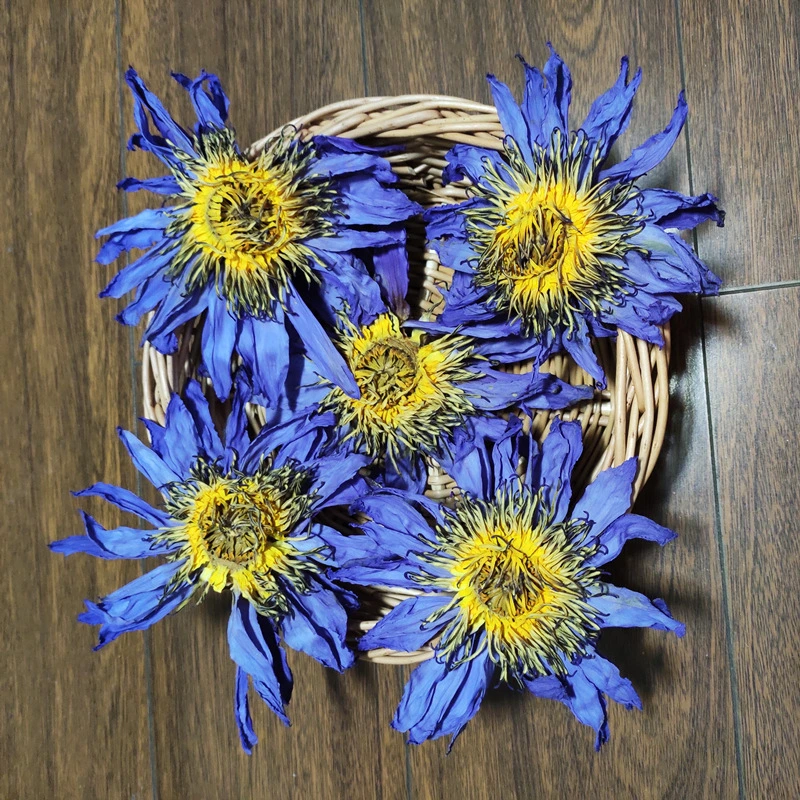 Secado de hierbas naturales de alta calidad Nenúfar té Flor de Loto azul