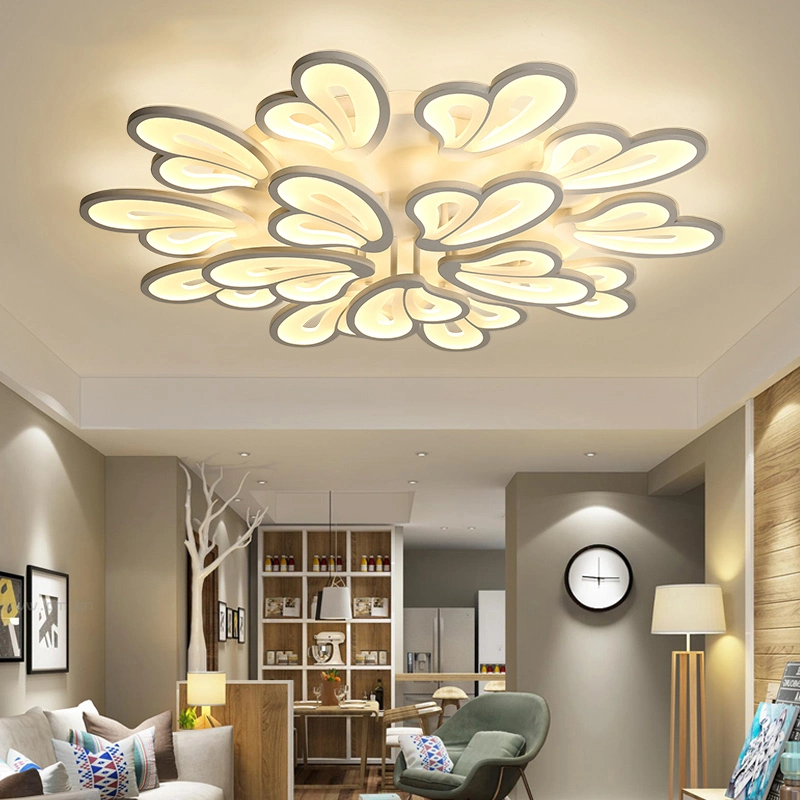 Standard Acrylic Ceiling Light Fixture for Living Room Bedroom Lighting Fixtures (WH-MA-51)