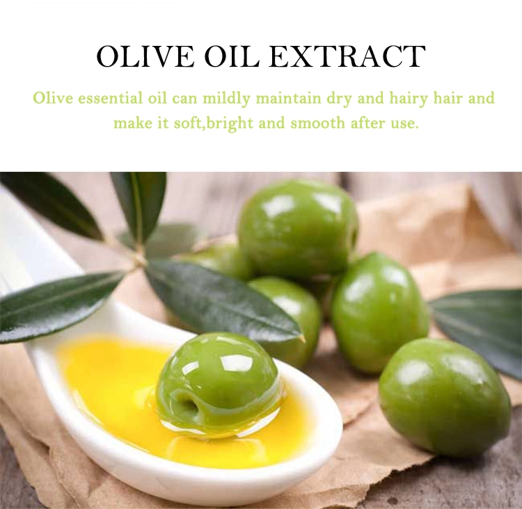 Ensemble de shampooing et de conditionneur pour l'huile d'olive nourrissante