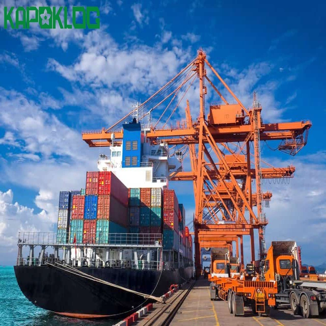 Door to Door Shipping International Forwarder Comapny China Shenzhen to Oman Sea Freight