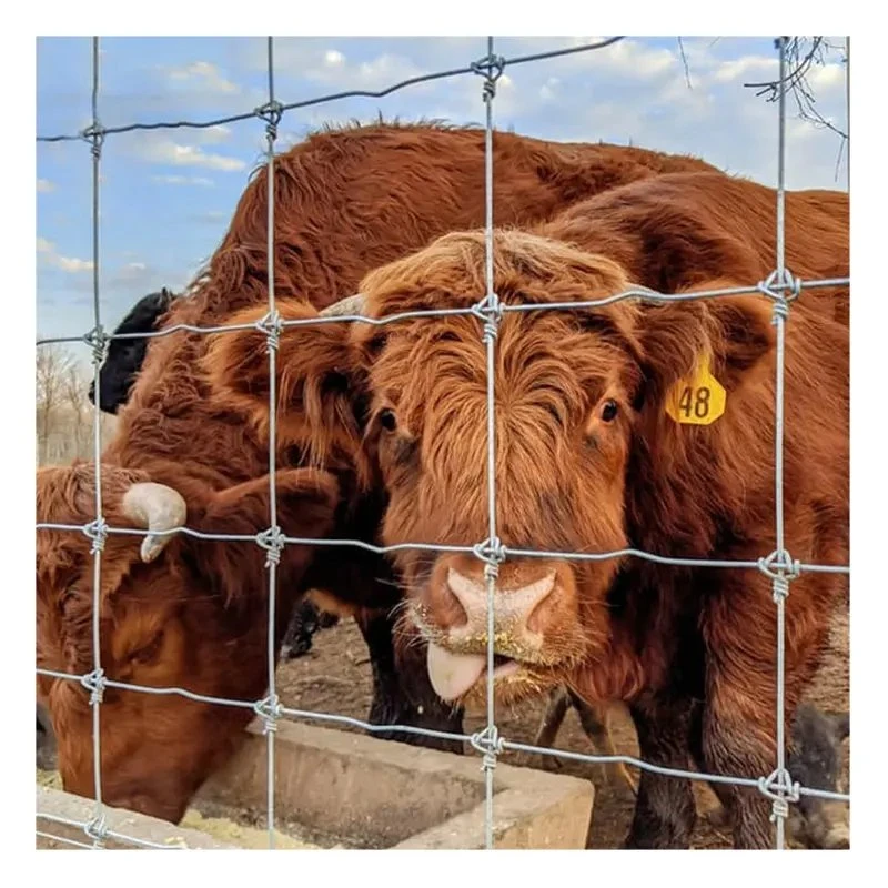 Shunze médios quente Prados Galvanizado Farm empurrador do campo/ Empurrador do animal para bovinos e ovinos