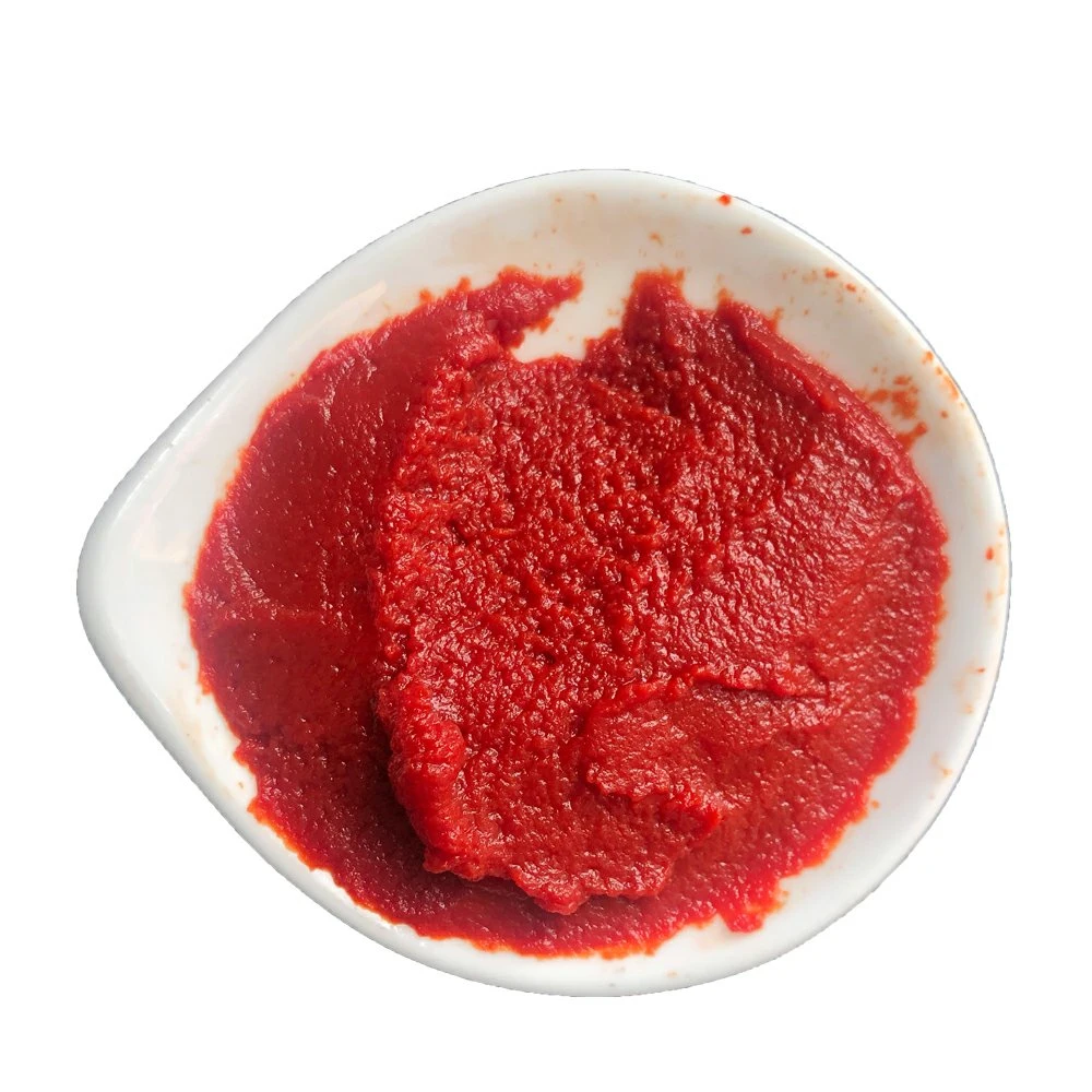 Tomato Sauce 50 Grams Double Concentrated Tomato Paste Tomate