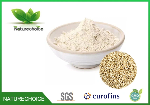 Quinoa Seed Powder, Fat Loss Superfood Supplement Organic Quinoa Protein, Food Additive Nutrition Enhancer Health Supplement ISP Isolated Soybean Protein Powder