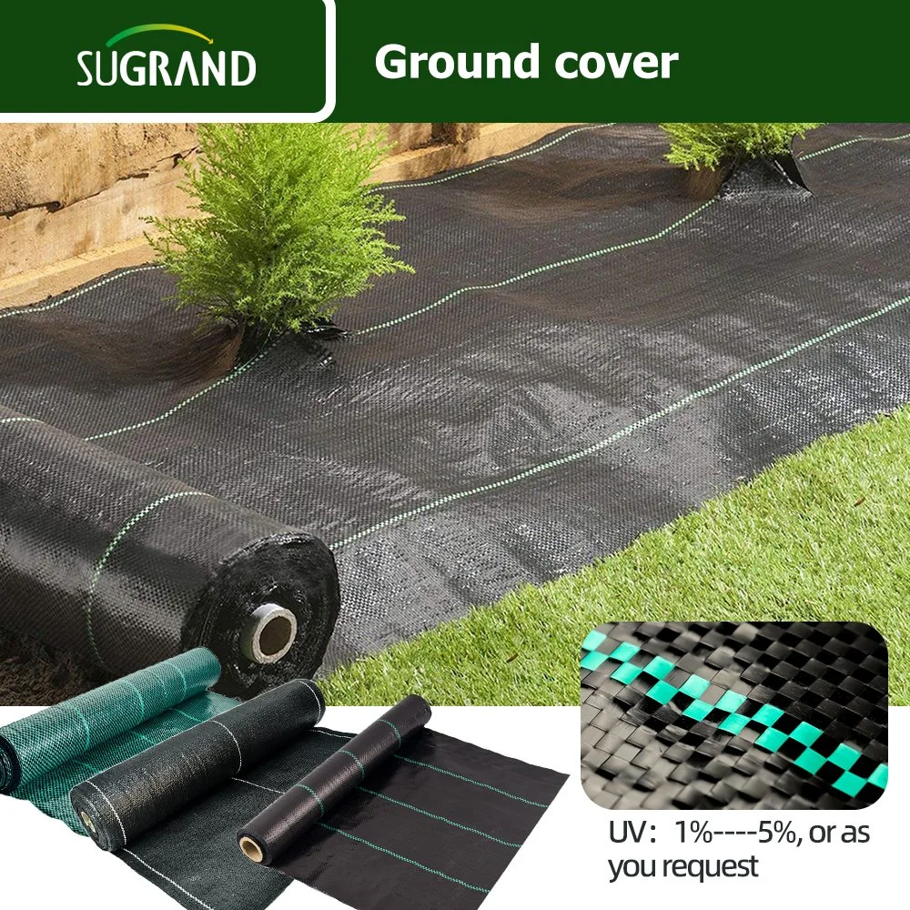 Cheap Factory Price 100G/M2 Ground Cover Garden Weed Barrier in Garden