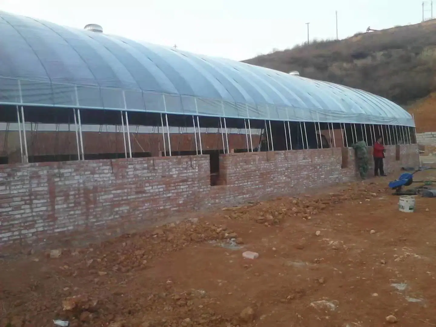 Vegetable Used Mart Agricultural Plastic-Film Greenhouse for Sale