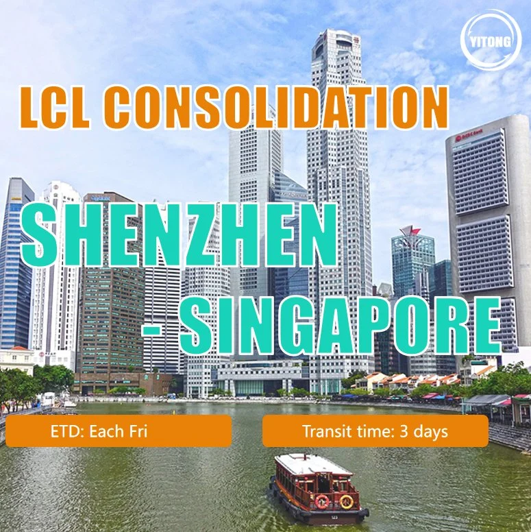 LCL Shipping From Shanghai to Singapore