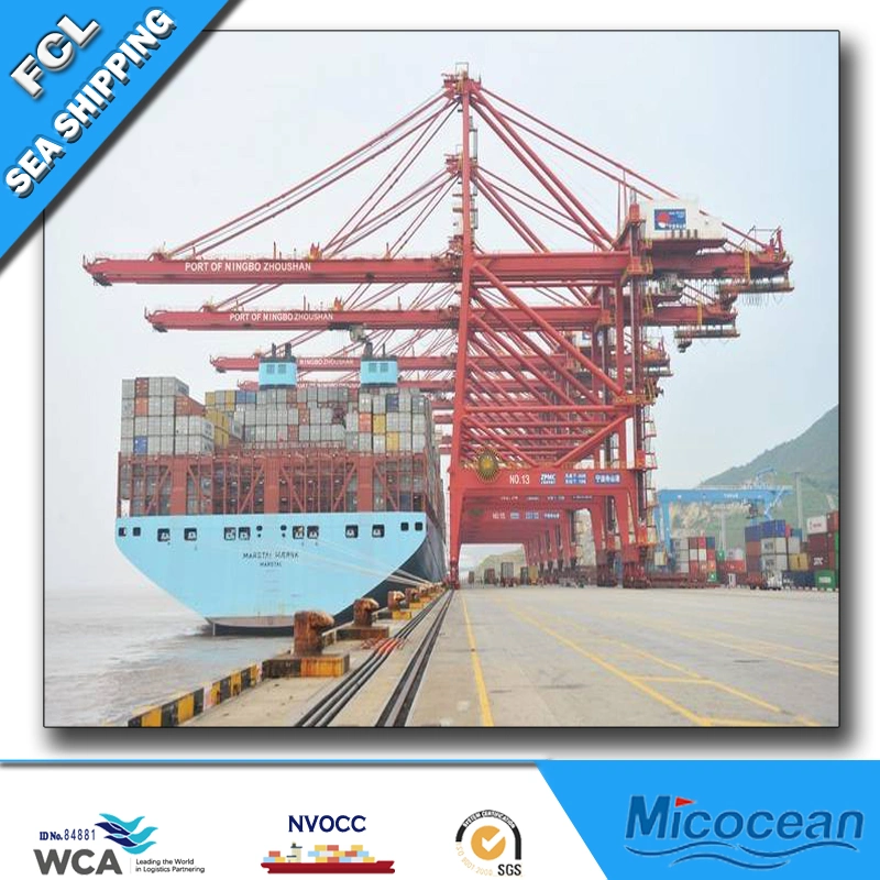 FCL/LCL Cargo Ship Service Shipping Agent Sea Freight From China to Worldwide