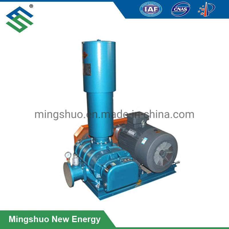 Belt Drive Roots Blower for Gas Delivery to Incinerator