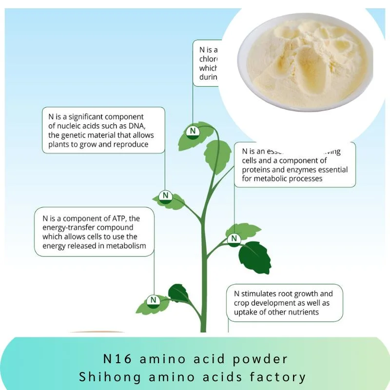 Polvo de aminoácido 65072-01-7 N16 sin cloruro aprobado por Omri
