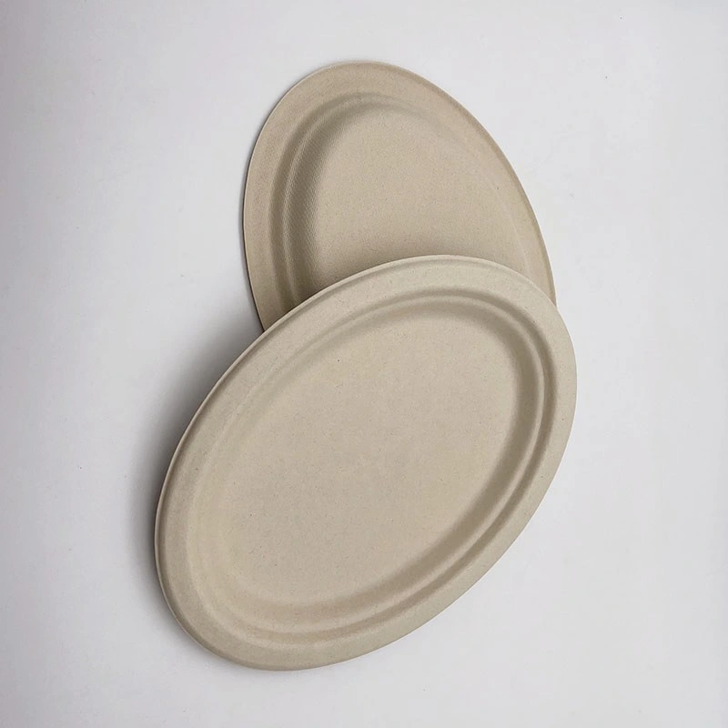 Pulp Middle Size Oval Plate Food Serving Tray Disposable Products China