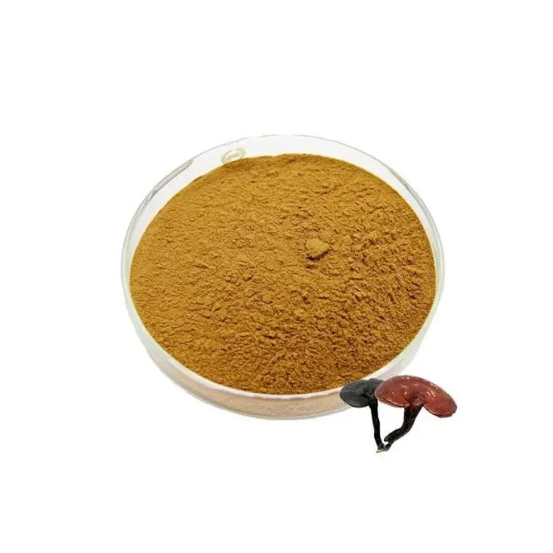 Reishi Mushroom Extract 4: 1 Mushroom Powder Ganoderma Lucidum Extract