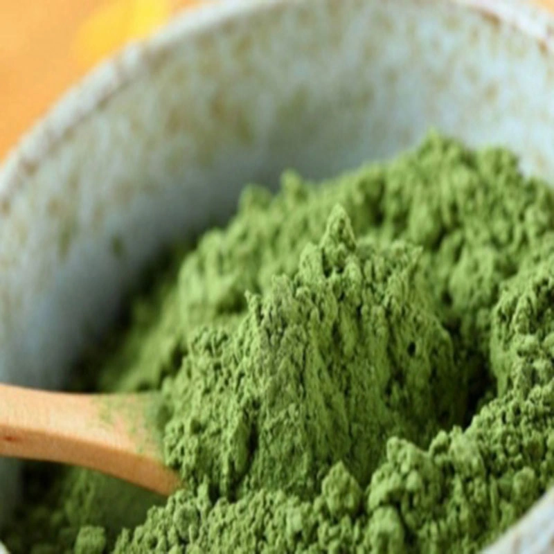 Bulk Organic Chocolate Flavor Extra Green Tea Matcha for Health Care Products Direct Suppliers