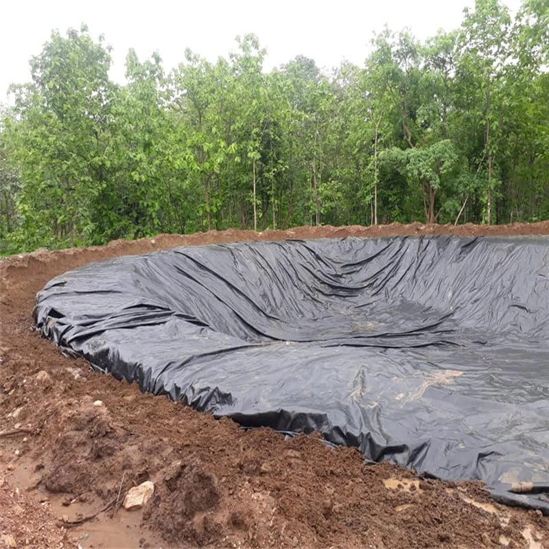 Pond polythene 60 MIL Poly Liner Tippos De Geomembranas