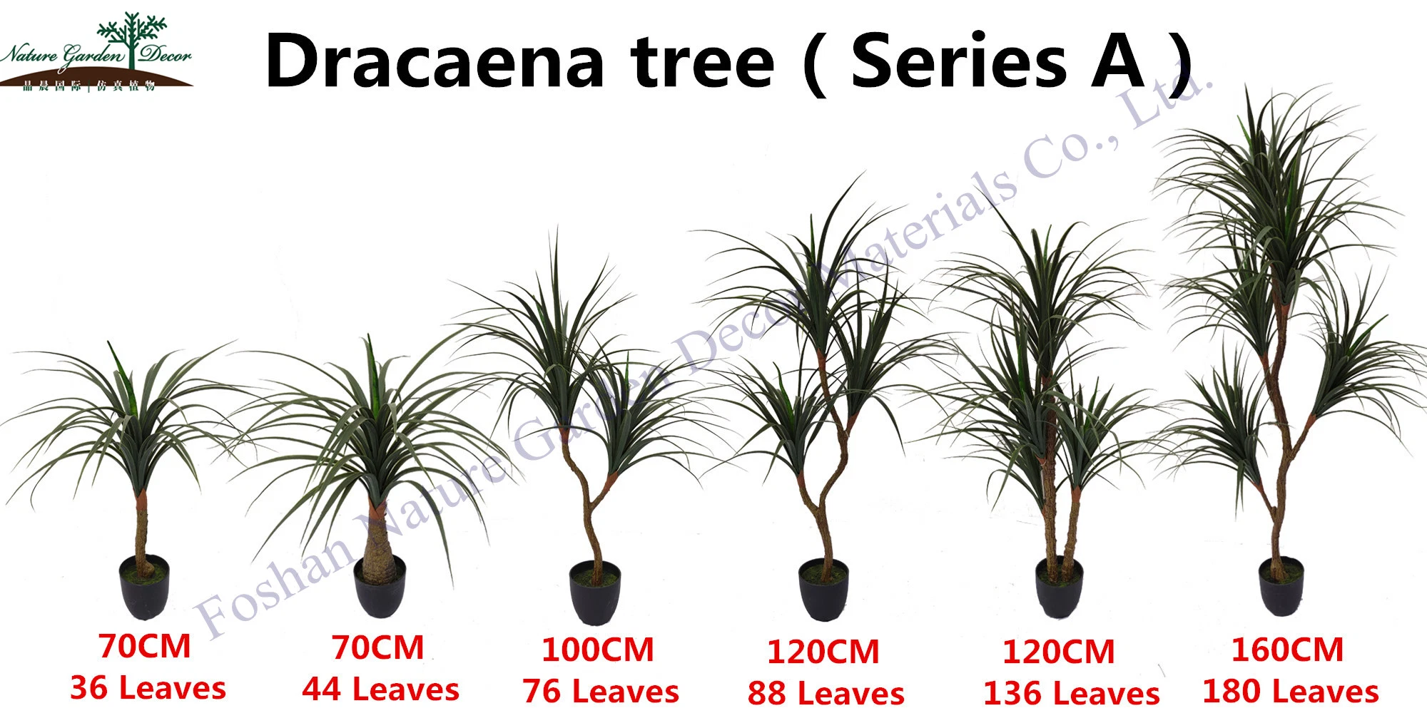 Cheap Dracaena Fragans Topiary Verde Drago de plantas tropicales de interior