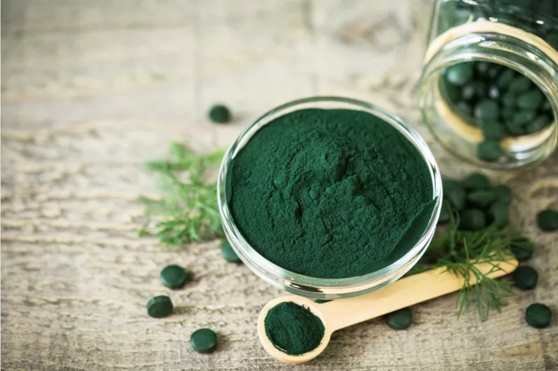 Hot Sale de la poudre de Spirulina platensis