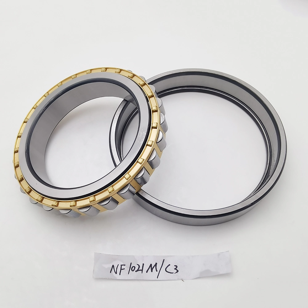 Cylindrical Roller Bearing Thrust Bearing N/Nu/NF/Nj/Nup/Ncl/Rn/Rnu Single Double Row