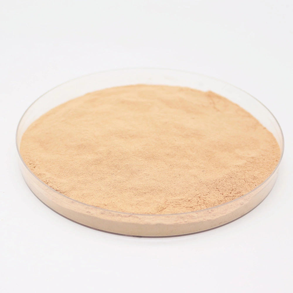 Best-Selling Compound Organic Agro Chemicals Plant Amino Acid Powder Fertilizer