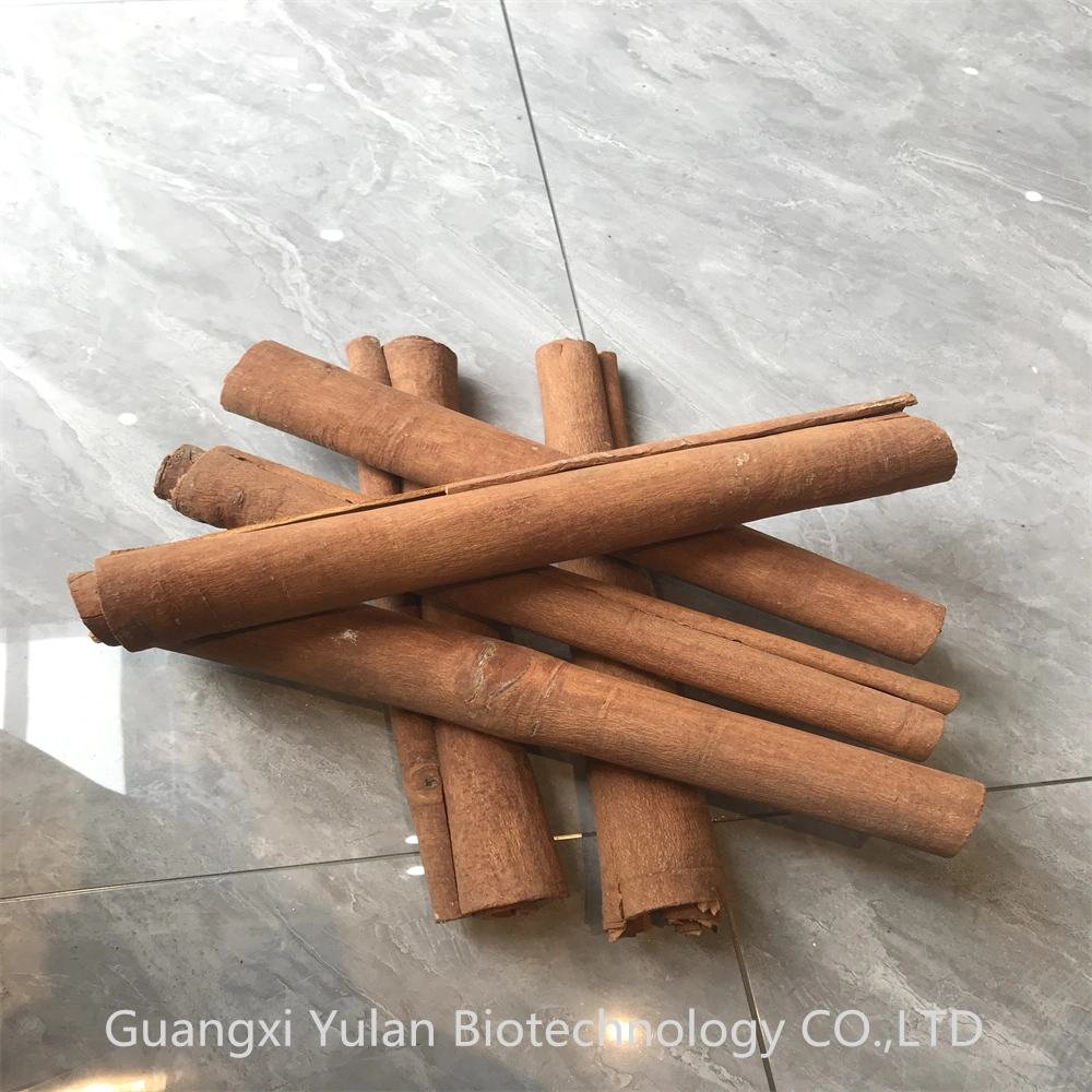 Sun Dried Natural Cinnamon Bark Plant Cassia Tube Hot Sale Spice
