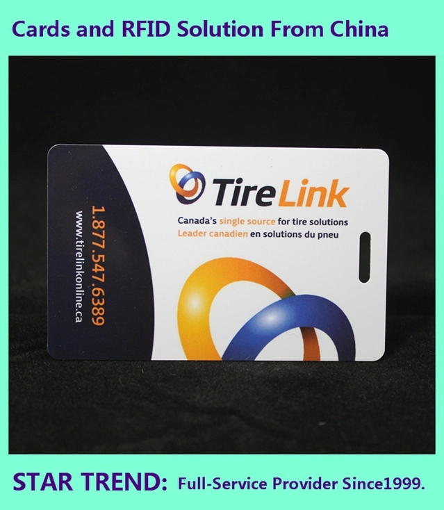 Cmyk Preprinted Plastic Magnetic Card Cr80 Standard Size for Loyalty Card
