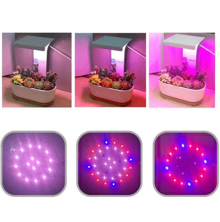 40PCS LED Table Grow Plant Light with Timing Setting 10 Dimming Mode Plant Growing Lighting Indoor Decorative LED Plant Light