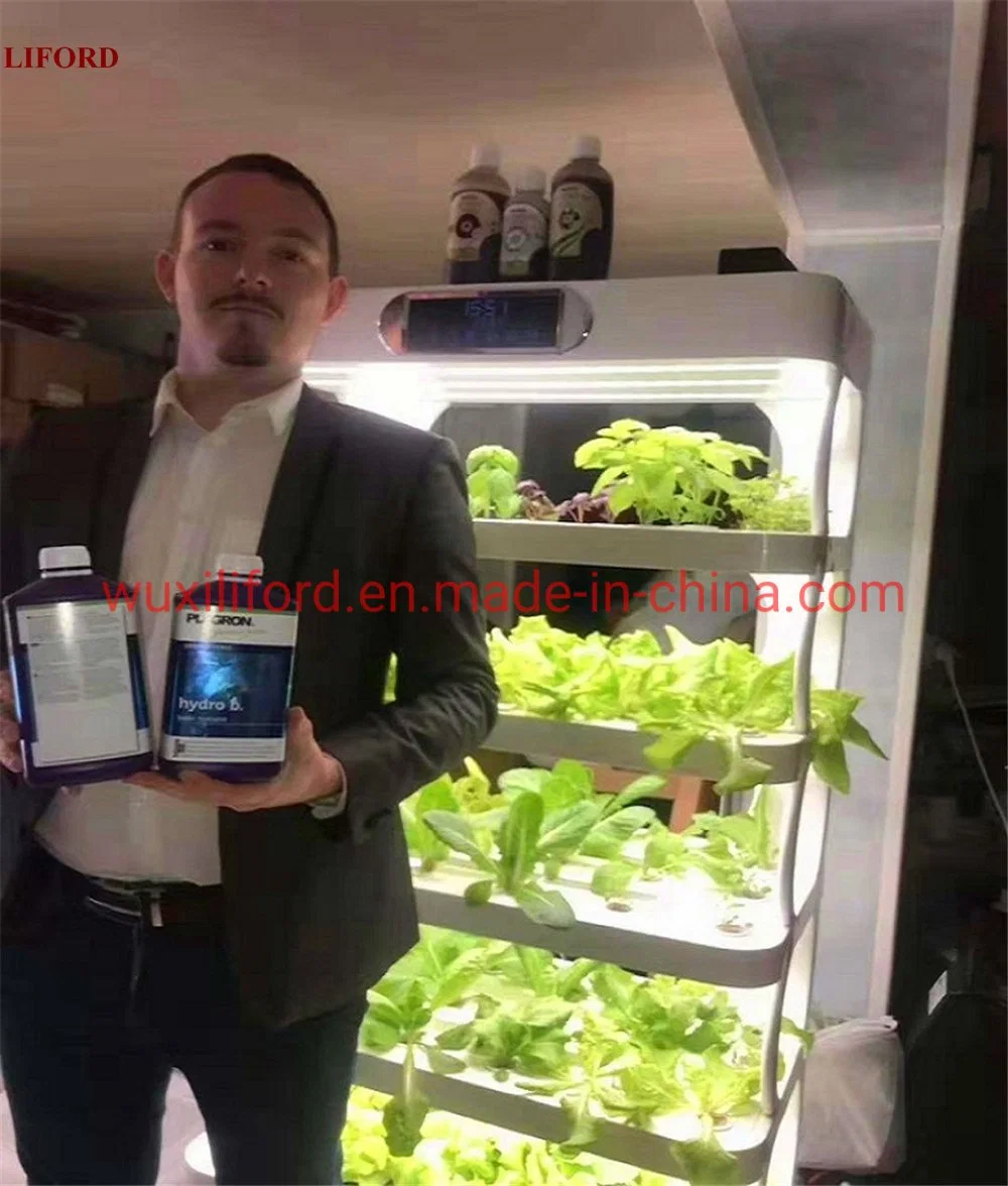 China Supplier Smart Home Use Complete Indoor Hydroponics Growing System