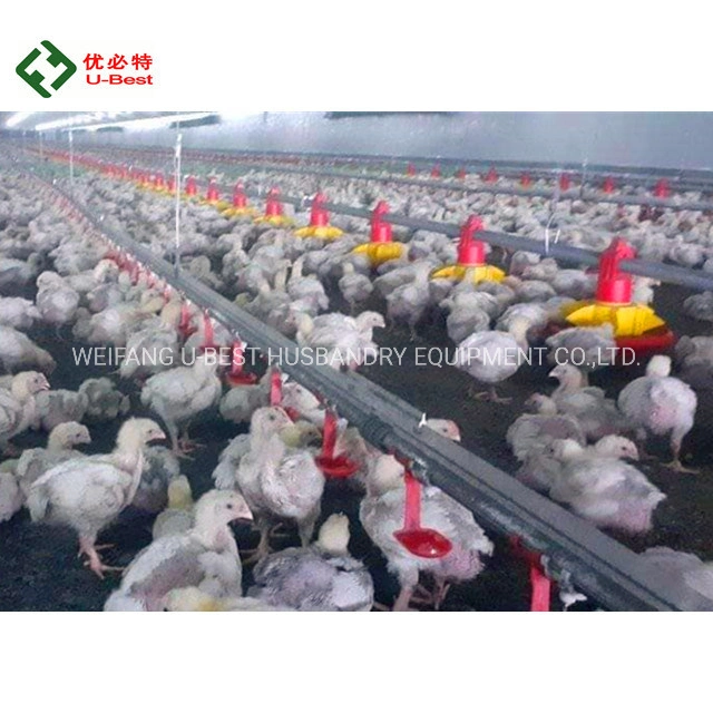 Complete Controlled Broiler/ Layer/ Breeder Equipment / Poultry Farm Equipment for Chicken House