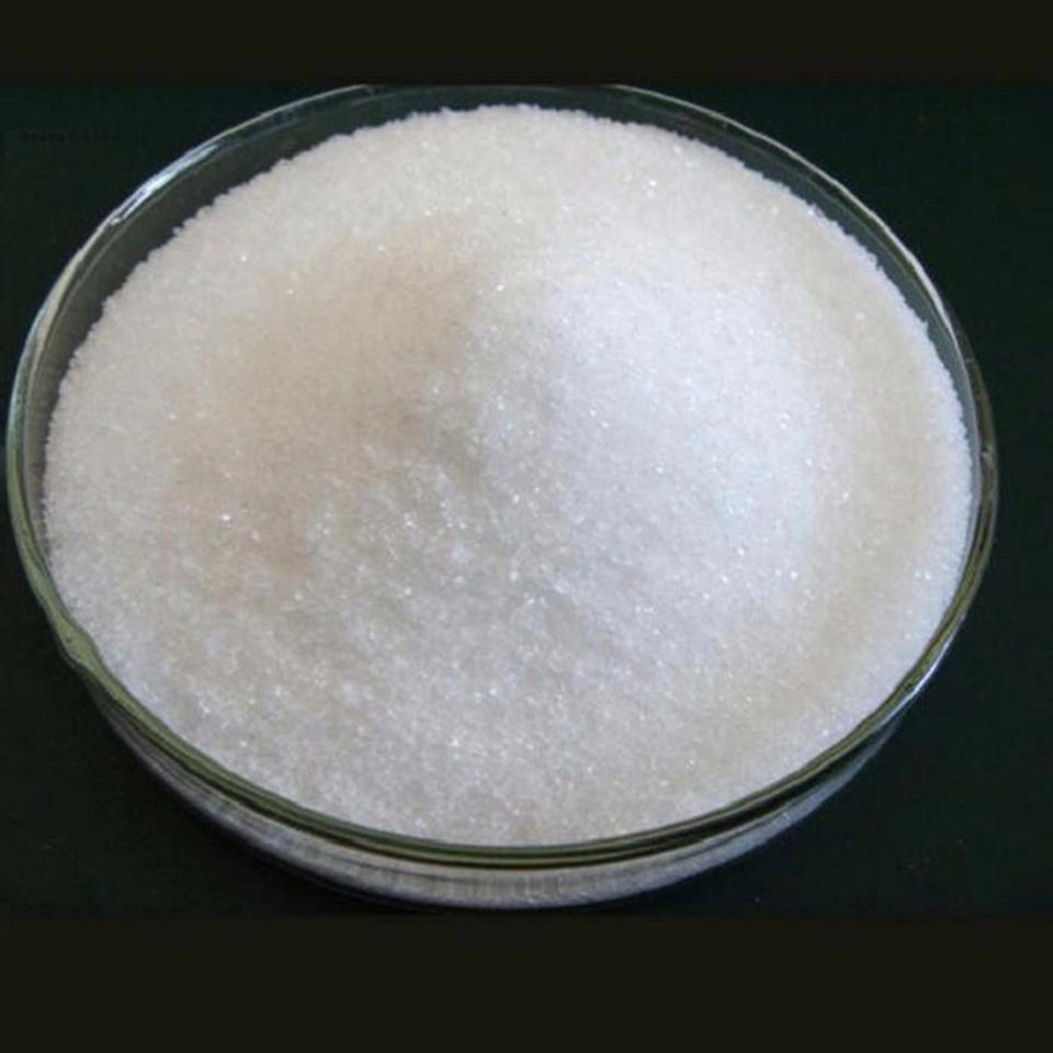 Polymer Polyacryl Amide CAS 9003-05-8