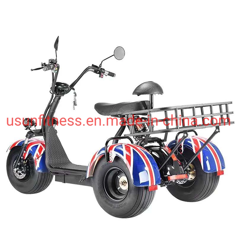 Special Vehicles for Farms and Gardens 3 Wheels Electric Scooter and Scooters Electric Motorcycle Tricycle Cargo