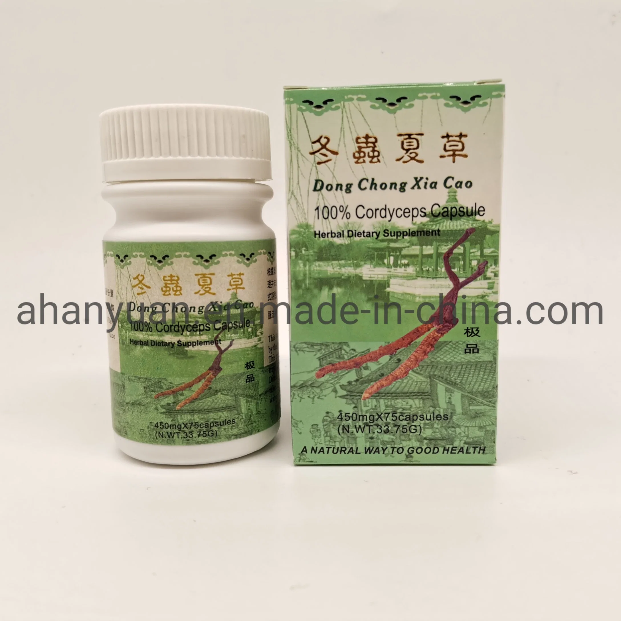 OEM/ODM Immune Support Organic Reishi Extract Cordyceps Mushroom Extract Capsules Herbal Supplements Food Garde