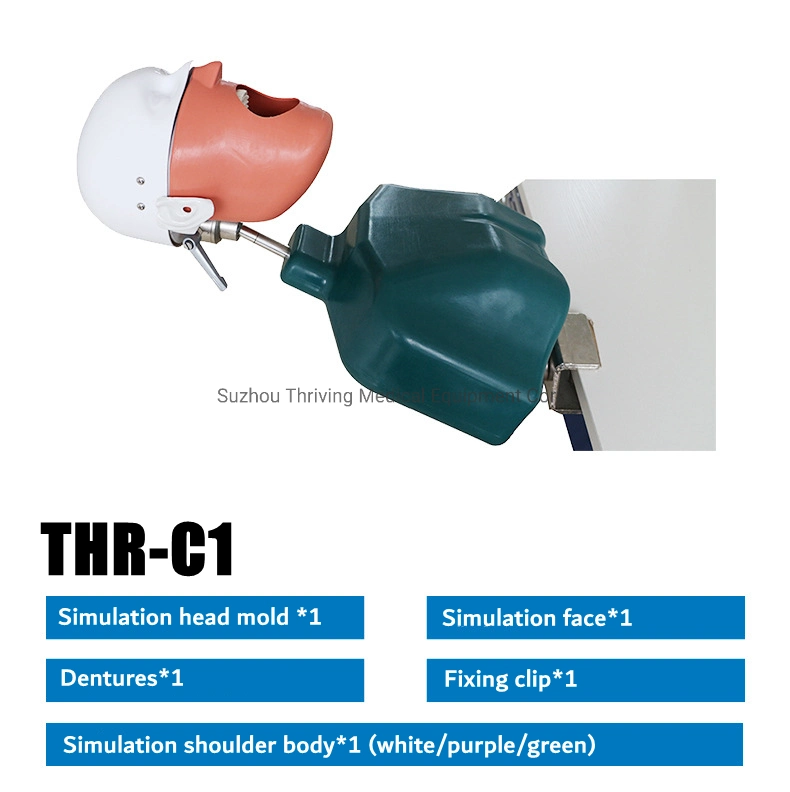 الصين مورد عملية الطالب عالية الجودة كرسي الأسنان المعدات محاكاة رأس [سمّوليتور] أسنانيّة سعر