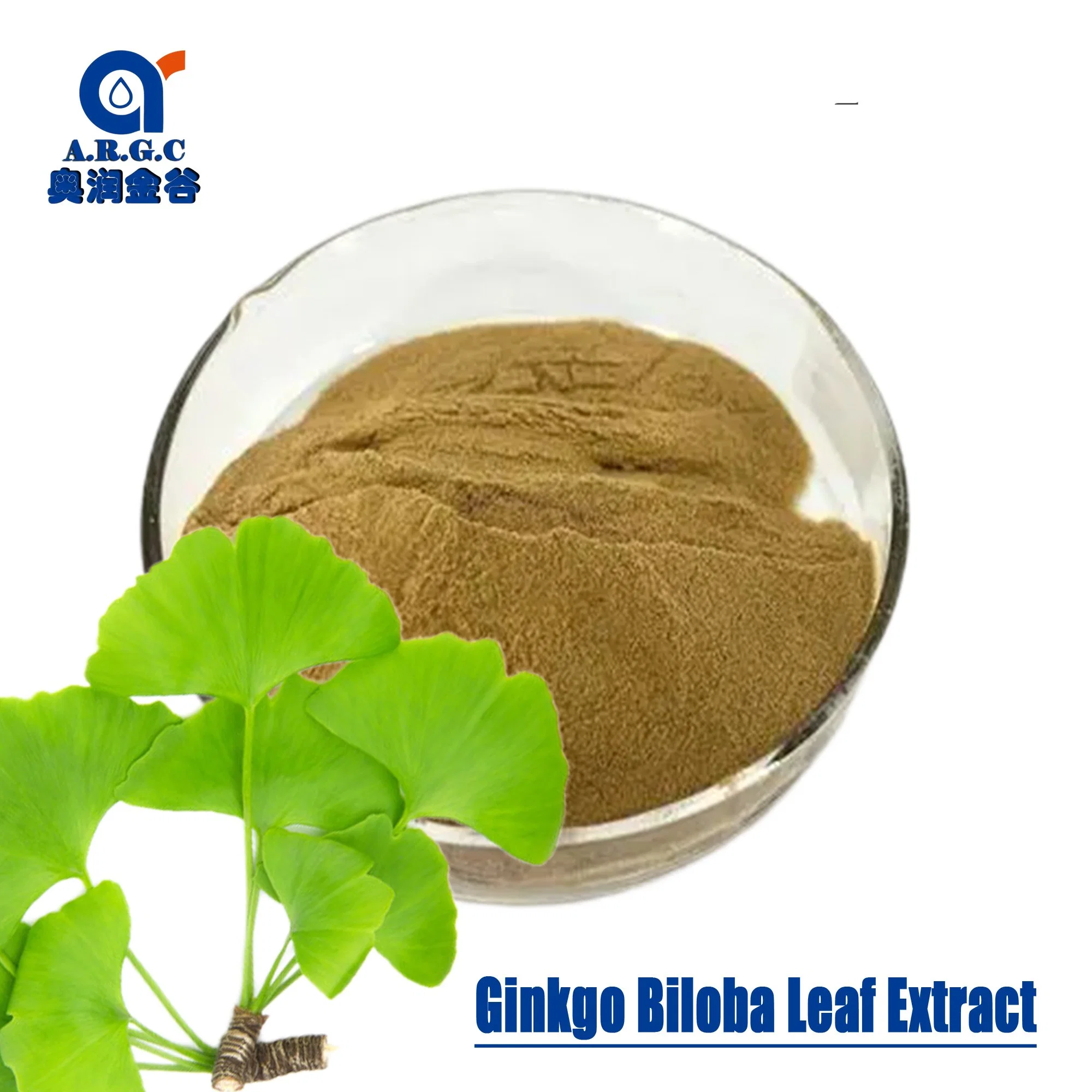 Natural Herbal Plant Ginkgo Biloba Leaf Extract/Ginkgo Biloba Extract